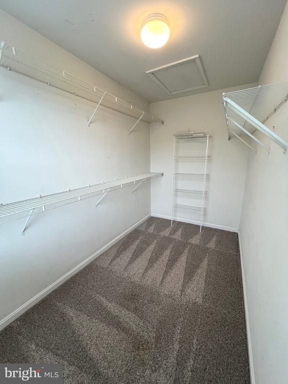 Building Photo - 22464 Maison Carree Square