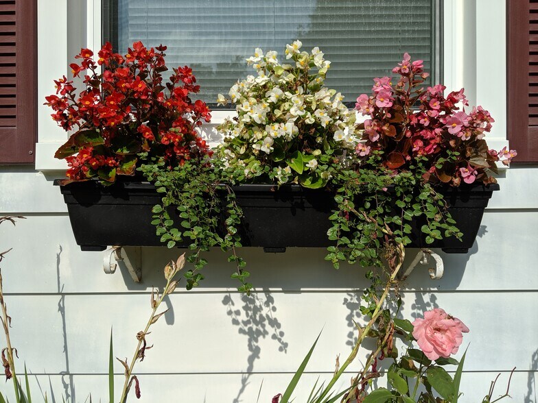 Building Photo - 821 Stanley St