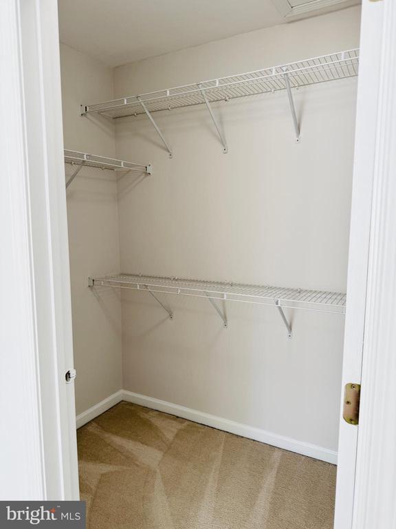 Building Photo - 25207 Bald Eagle Terrace