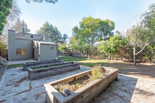 Back Yard - 570 Okeefe St