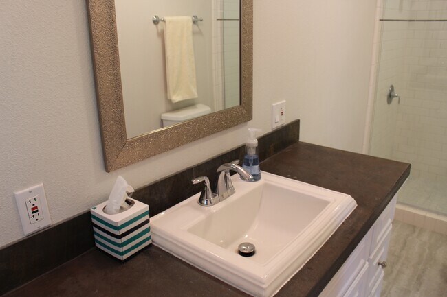 master bath - 1077 Valley View St