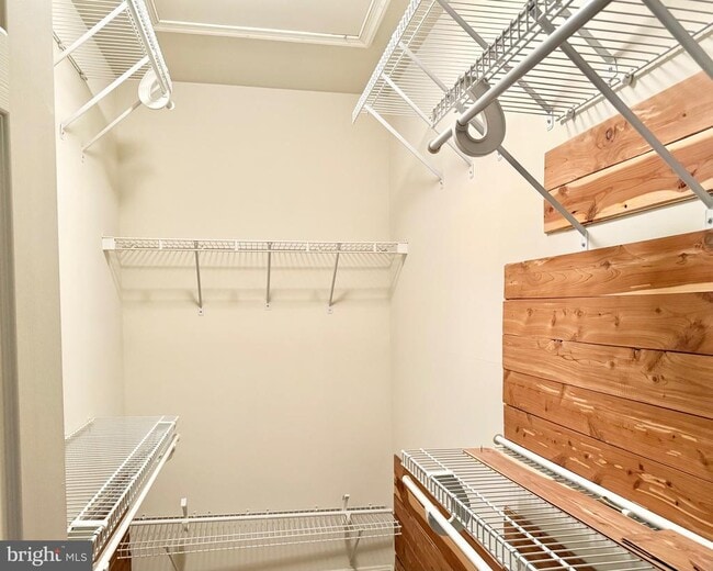 Building Photo - 552 Winding Rose Dr