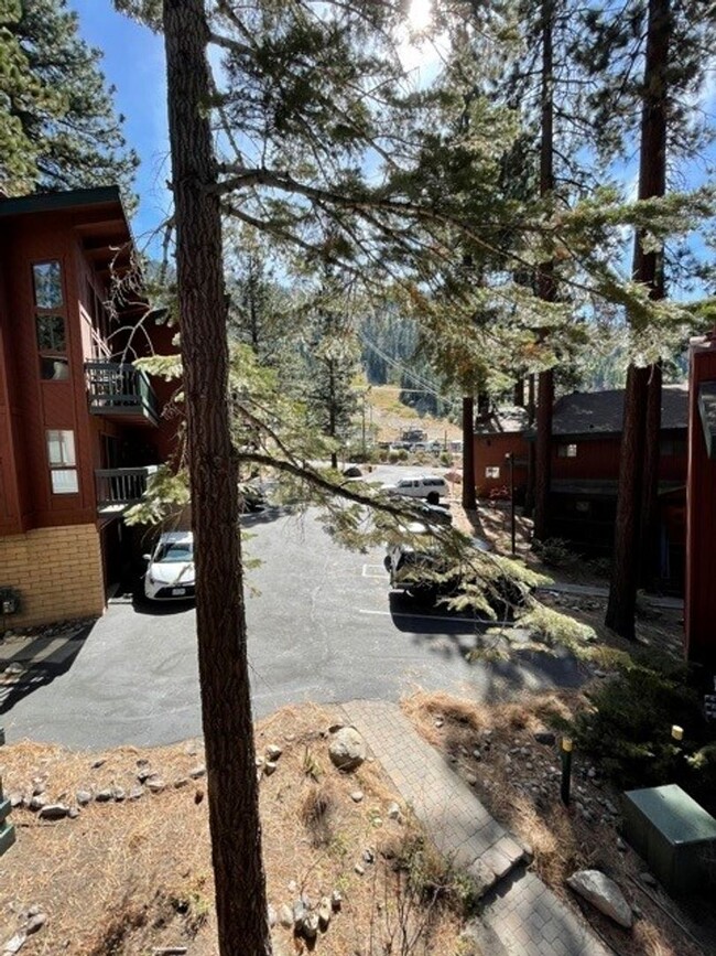 Building Photo - Great Condo close to Heavenly avail. for a...