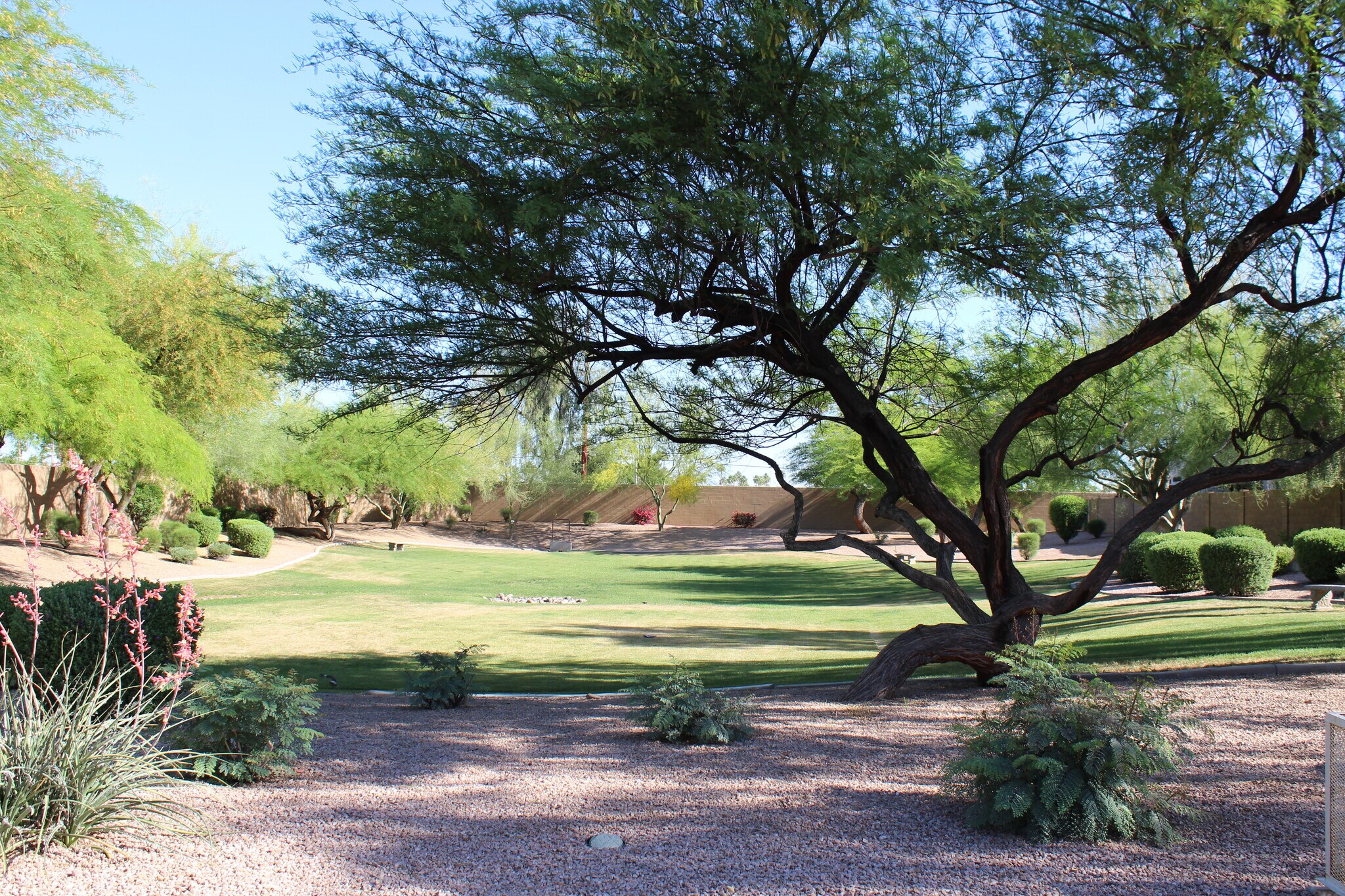 common area - 440 S Val Vista Dr.