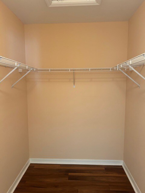 Building Photo - 384 Pindo Palm Dr