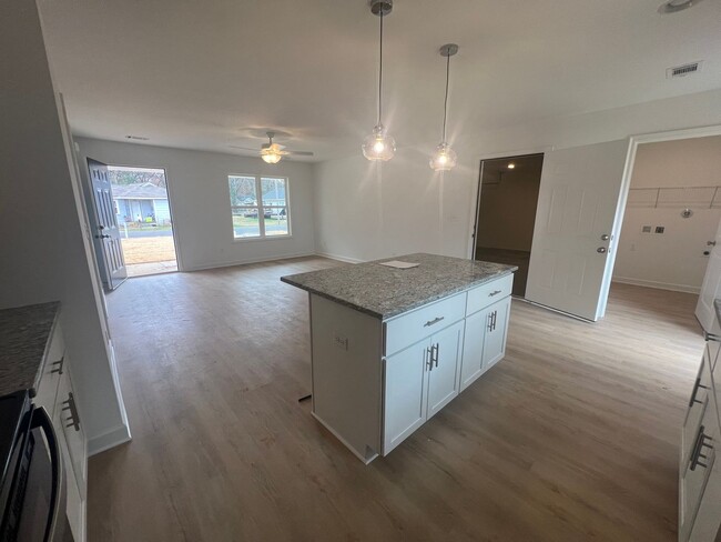 Building Photo - Newly built 3 bedroom 2 bathroom in East T...