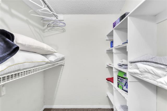 Building Photo - 4234 Cuesta Dr