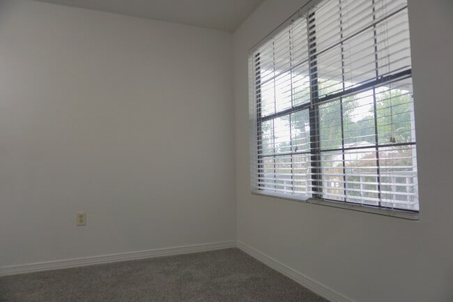 Building Photo - 111 Palmetto Dr