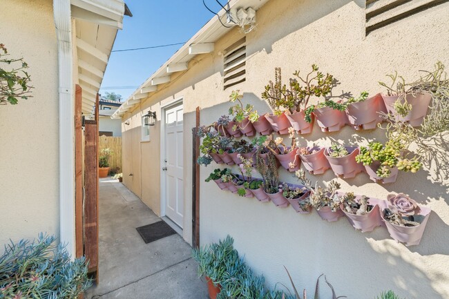 Building Photo - Charming 1-Bedroom Back House in Newport H...