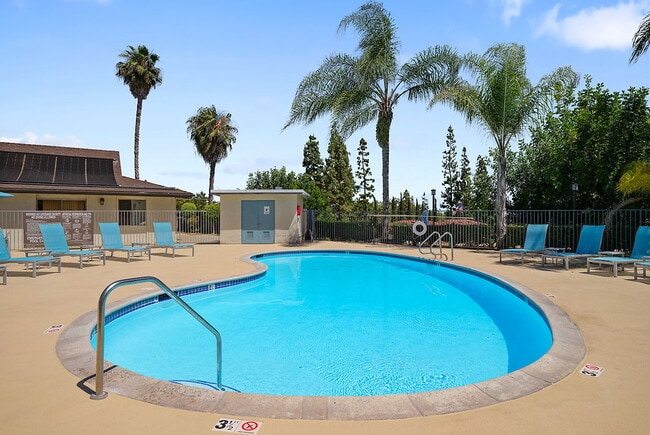 Primary Photo - Capri at Sunny Hills