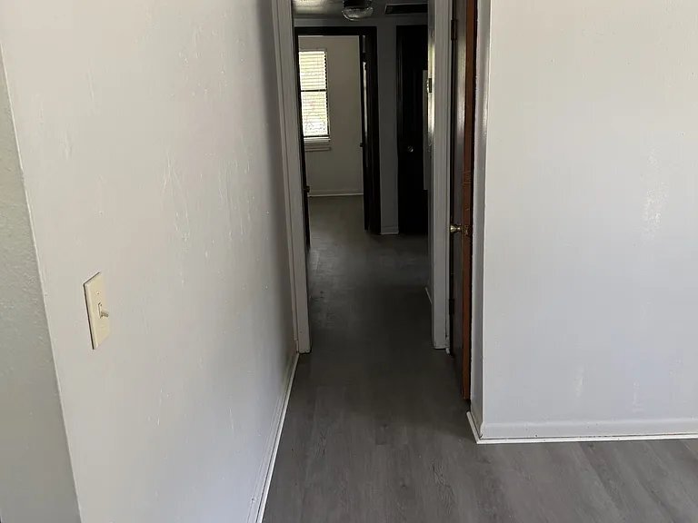Building Photo - 3152 Brasque Dr