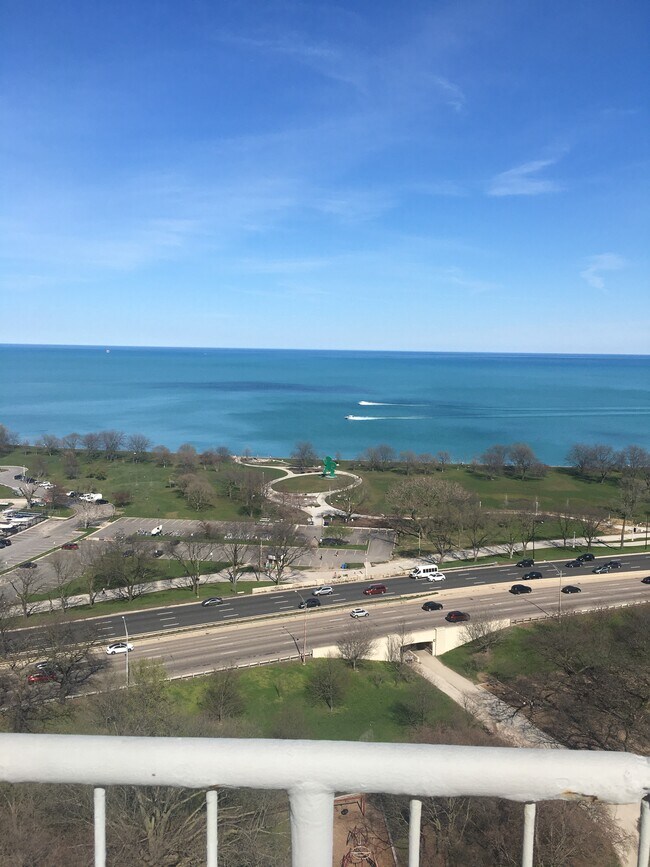 Building Photo - 3100 N Lake Shore Dr