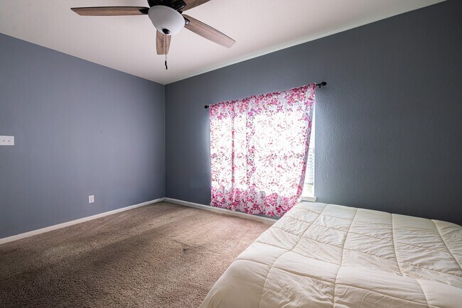 Building Photo - 10814 Spring Brook Pass Dr