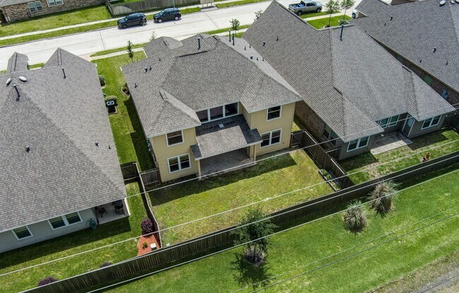Building Photo - 431 American Black Bear