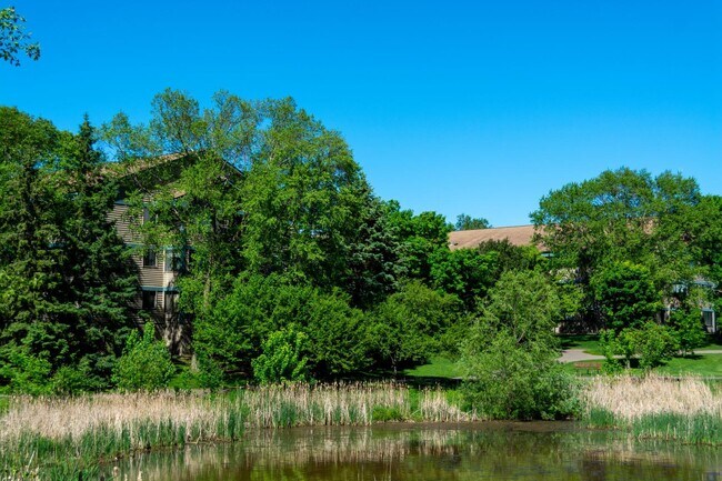 Building Photo - Brighton Pond Apartments