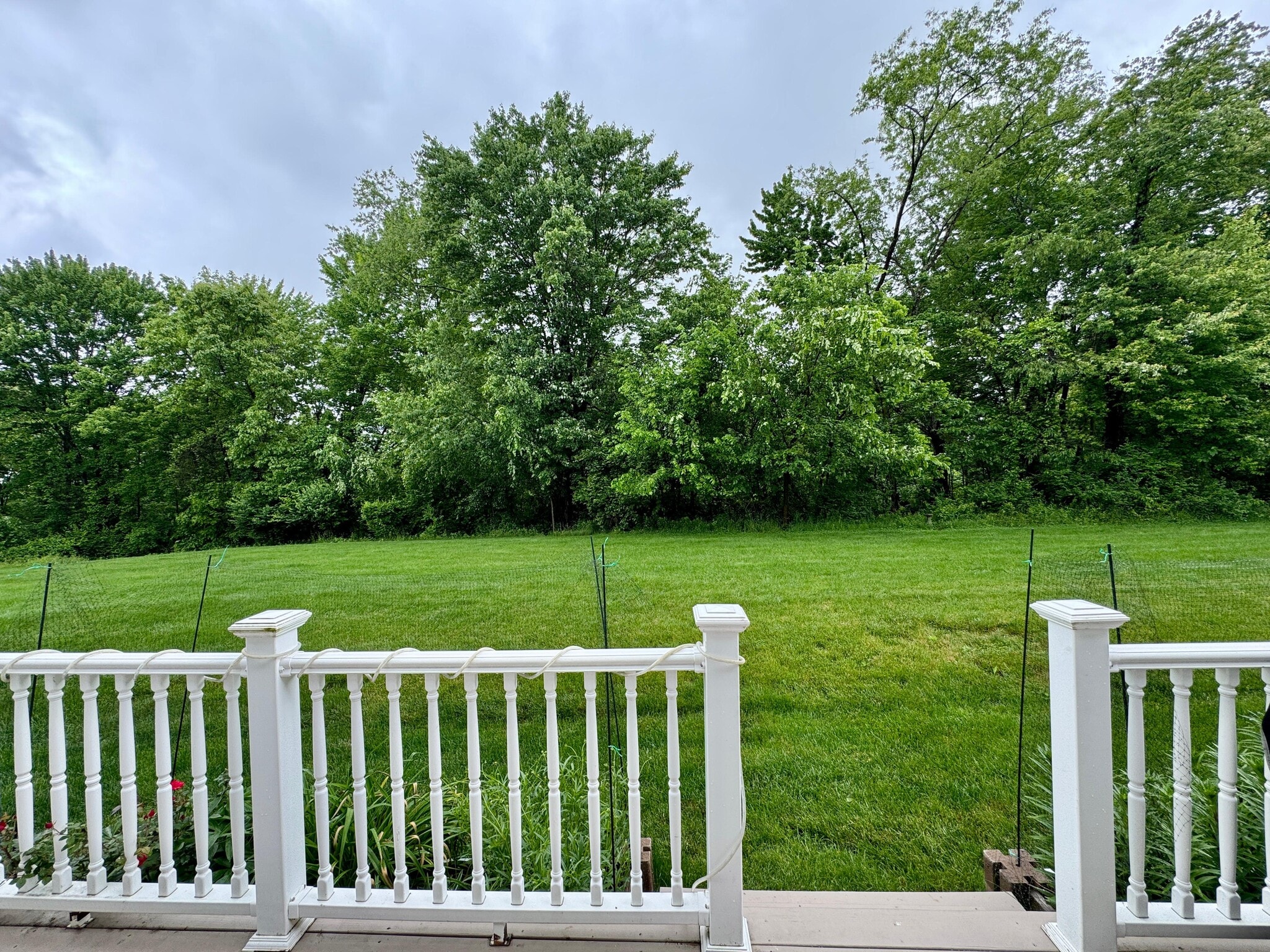 Building Photo - 233 Grace Manor Dr