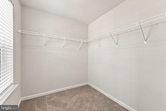 Building Photo - 126 Corolla Dr