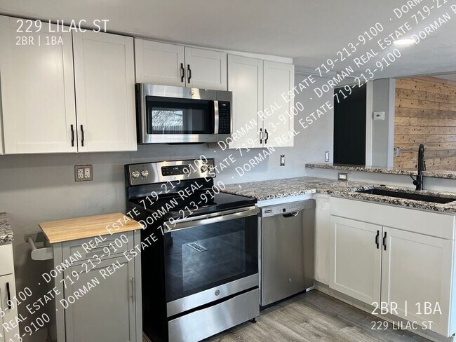 Building Photo - 229 Lilac St