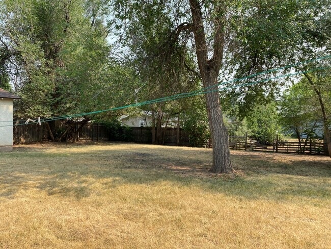 Building Photo - STUDENTS WELCOME! Ranch Home w/ Finished Basement, Fenced Yard and Two Kitchens