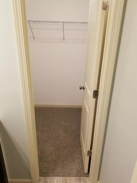 Building Photo - 301 Rollins St