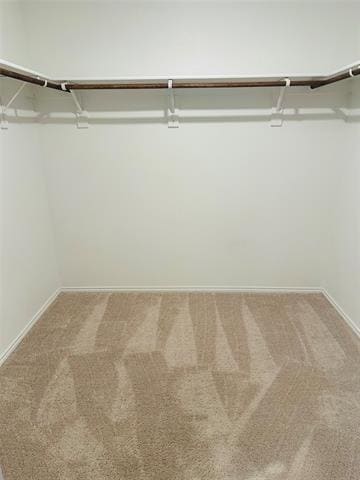 Building Photo - 3212 Coyote Way