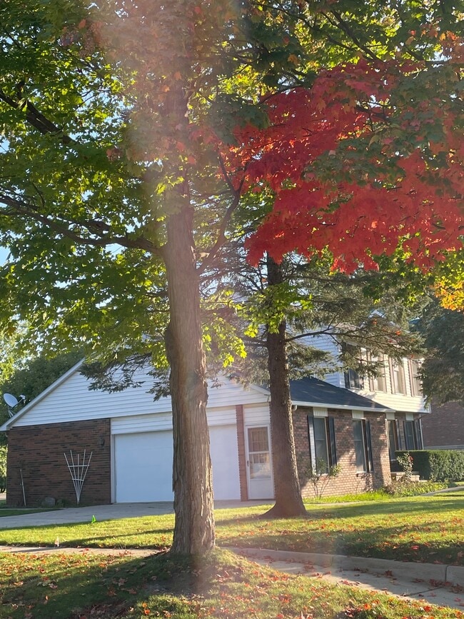 Building Photo - 7209 Main St