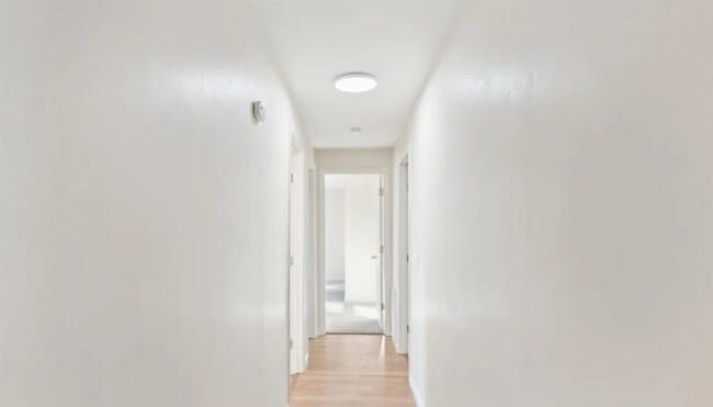 Building Photo - Welcome to this Newly renovated  3 bedroom...