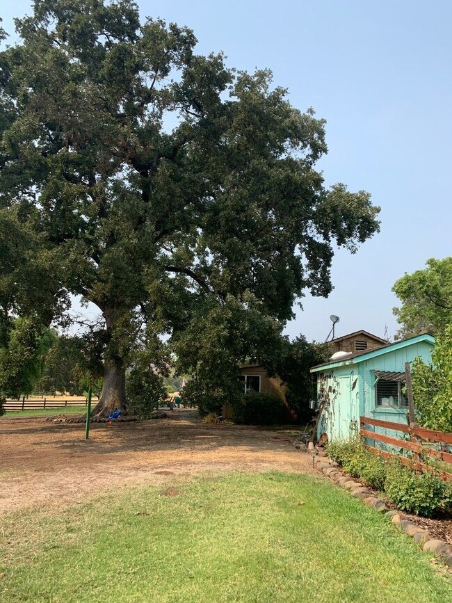 Building Photo - Butte Valley 3 bed 2 bath home, Privacy, n...