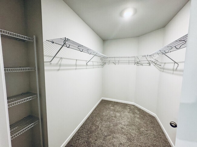 Building Photo - 809 Rivas Ct