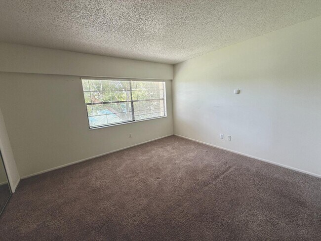 Building Photo - 9209 Seminole Blvd