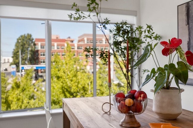 Building Photo - 1364 Powell St