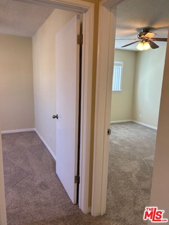 Building Photo - 1428 S Bedford St