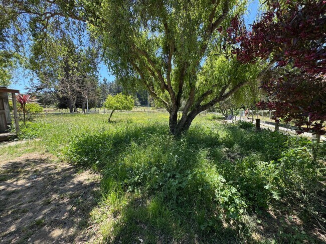 Building Photo - Peaceful Country Living
