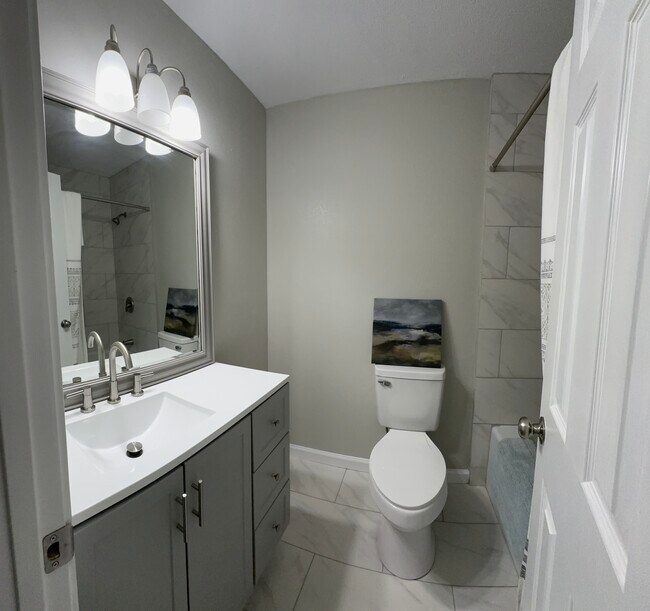 Hall Bathroom - 100 Shady Oaks Dr