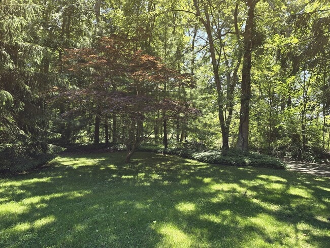 Beautiful country side - 4946 Saint Pauls Church Rd