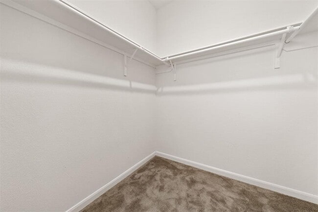 Building Photo - 28330 Little Hollow CT