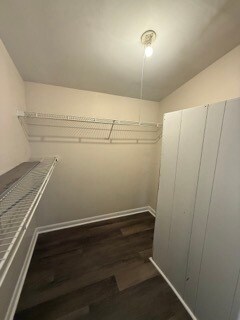Building Photo - 9413 Split Rail Ln