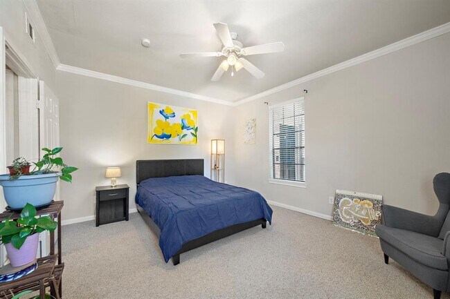 Building Photo - 2255 Braeswood Park Dr