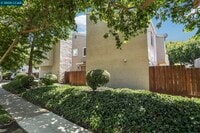 Building Photo - 3712 Willow Pass Rd