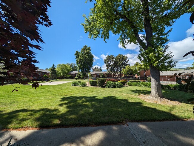 Building Photo - 38627 Cherry Ln