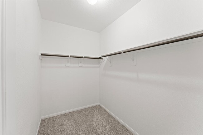 Building Photo - 24822 Landolfi Dr