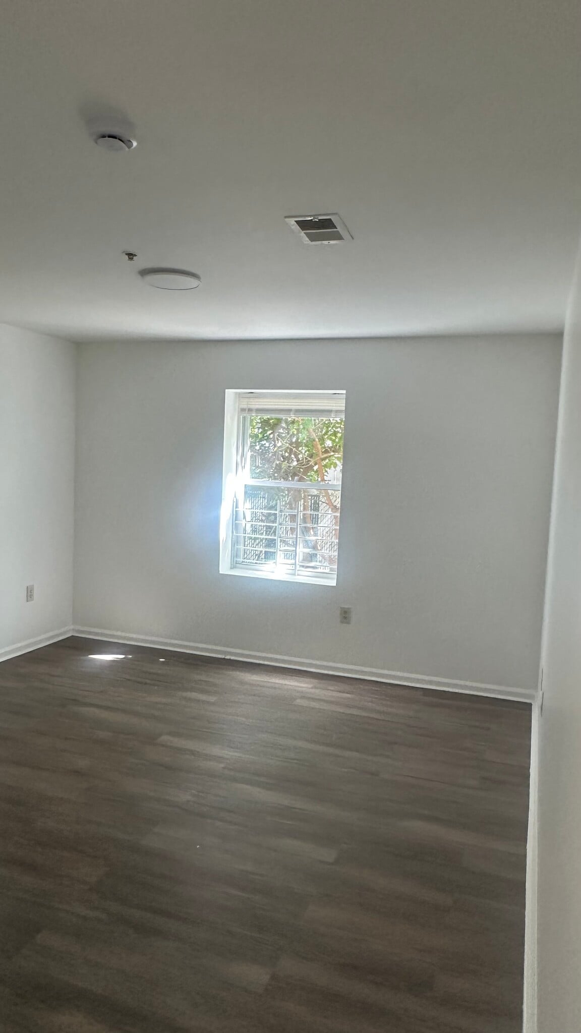Living Area - 184 S 8th St