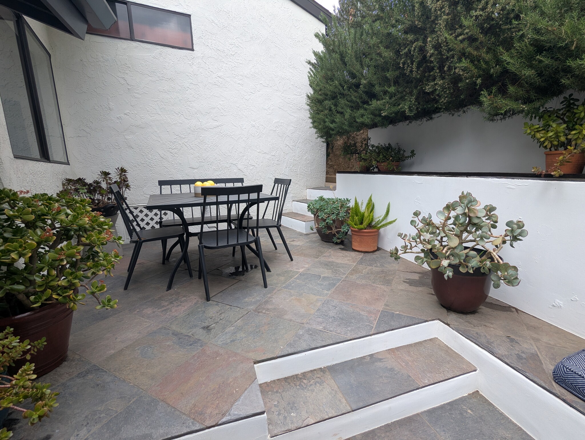 Patio view - 1868 Kaweah Dr