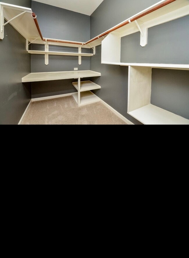 Building Photo - 2703 Bonnie Bray Dr