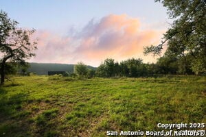 Building Photo - 797 Glendale Rd