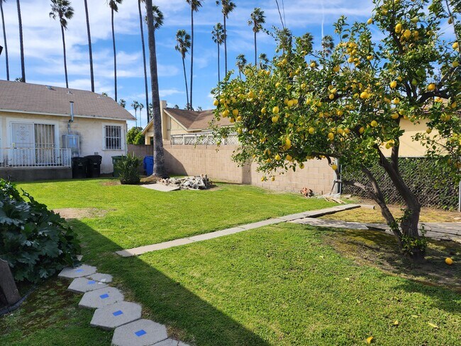 Backyard - 4910 8th Ave