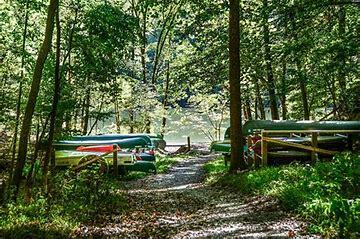 Building Photo - 7824 Yona Ct