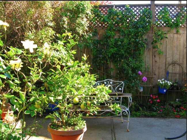 Building Photo - Large, Beautiful Home near Dolores Park!