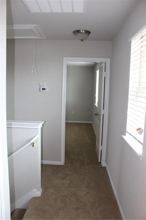 Building Photo - 1409 Bess Cove