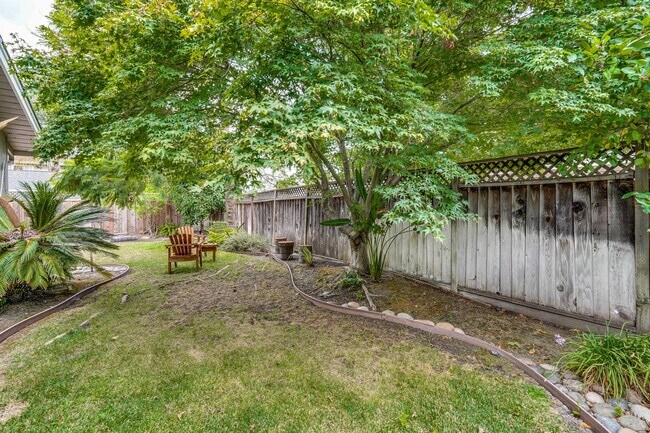 Building Photo - Spacious Home off of Hillsdale with Amazing Kitchen & Backyard! Ready to Rent.